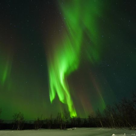 Northern Light Huts - Paradise Lapland Kiruna Extérieur photo