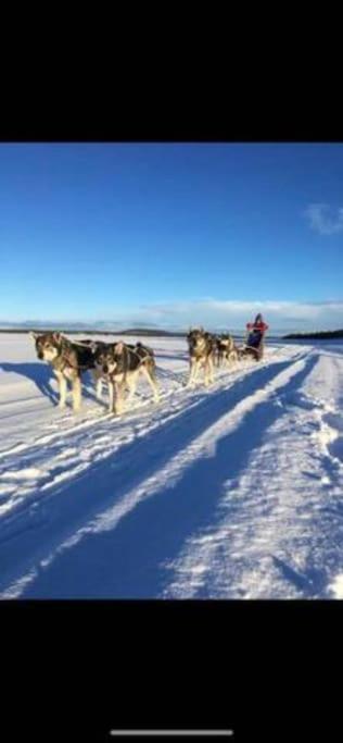 Northern Light Huts - Paradise Lapland Kiruna Extérieur photo