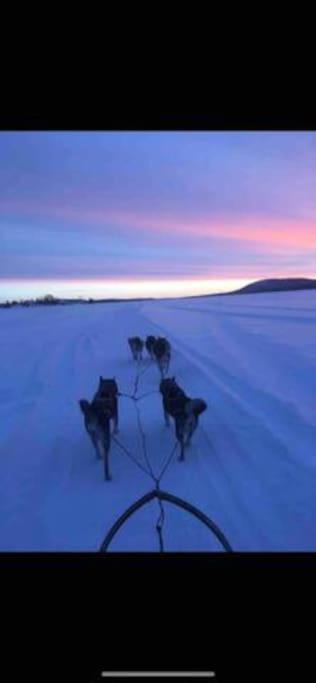 Northern Light Huts - Paradise Lapland Kiruna Extérieur photo